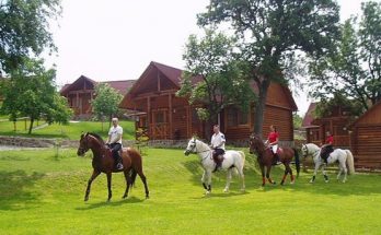 Активный отдых в Киеве