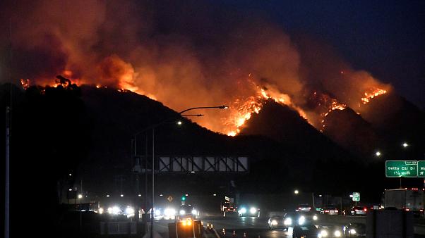 Из-за пожара в Калифорнии многие знаменитости эвакуировались из своих домов