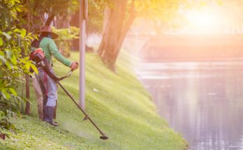 Мотокоса или триммер