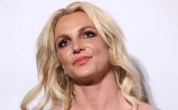 Борьба за идеальный рельеф тела: пример певицы Бритни Спирс Борьба за идеальный рельеф тела: пример певицы Бритни Спирс