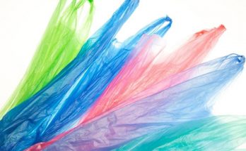 Эко-сумки и биоразлагаемые пакеты