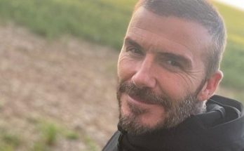 Дэвид Бекхэм умилил поклонников фото с четырьмя детьми Дэвид Бекхэм умилил поклонников фото с четырьмя детьми