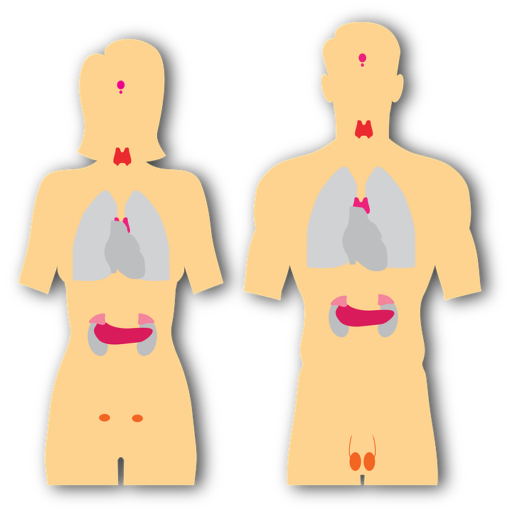 Какие бывают симптомы воспаления щитовидной железы