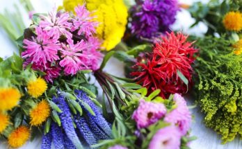 семена цветов