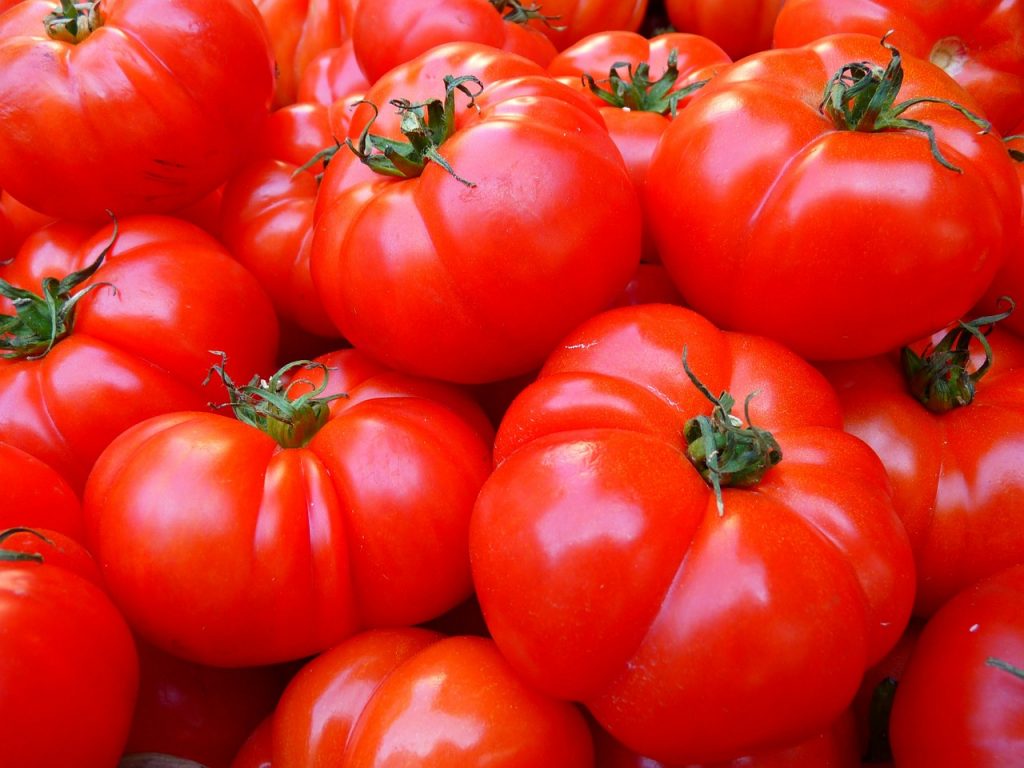 пять ошибок, снижающих урожайность помидоров
