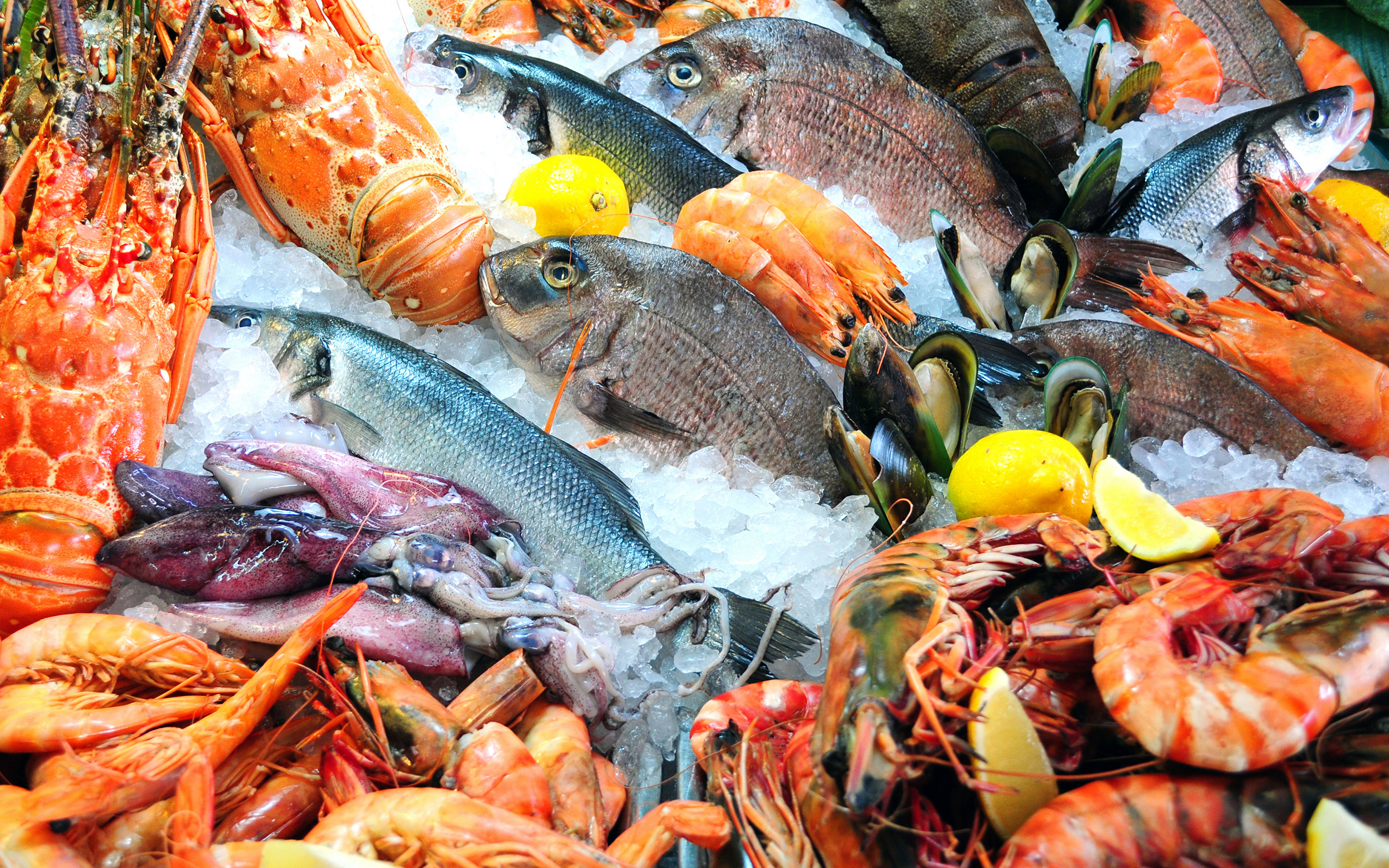 Можно ли в пост морепродукты ответ. Рыба и морепродукты. Свежая рыба. Свежемороженная Рыьба. Красивые морепродукты.