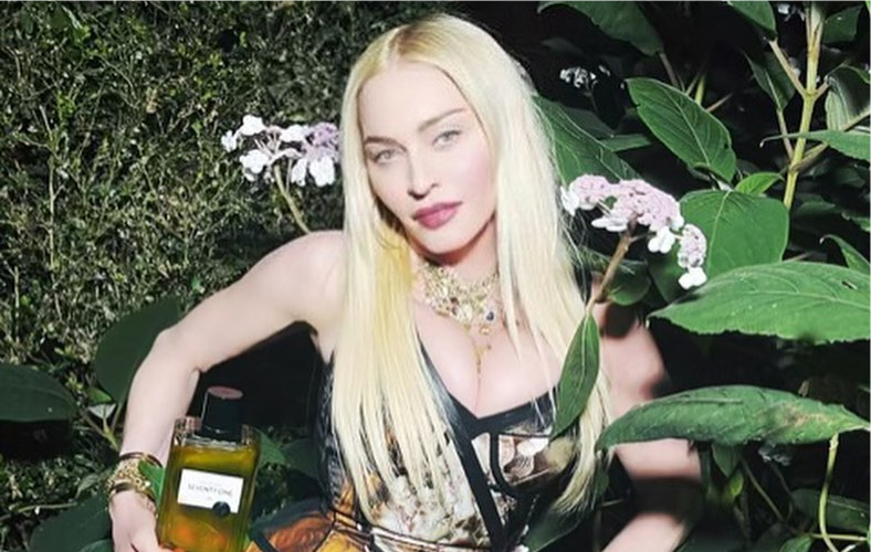 Мадонна пожаловала на светскую тусовку в компании 27-летнего бойфренда