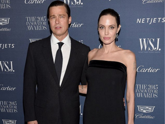 Анджелина Джоли подтвердила факт домашнего насилия со стороны Брэда Питта