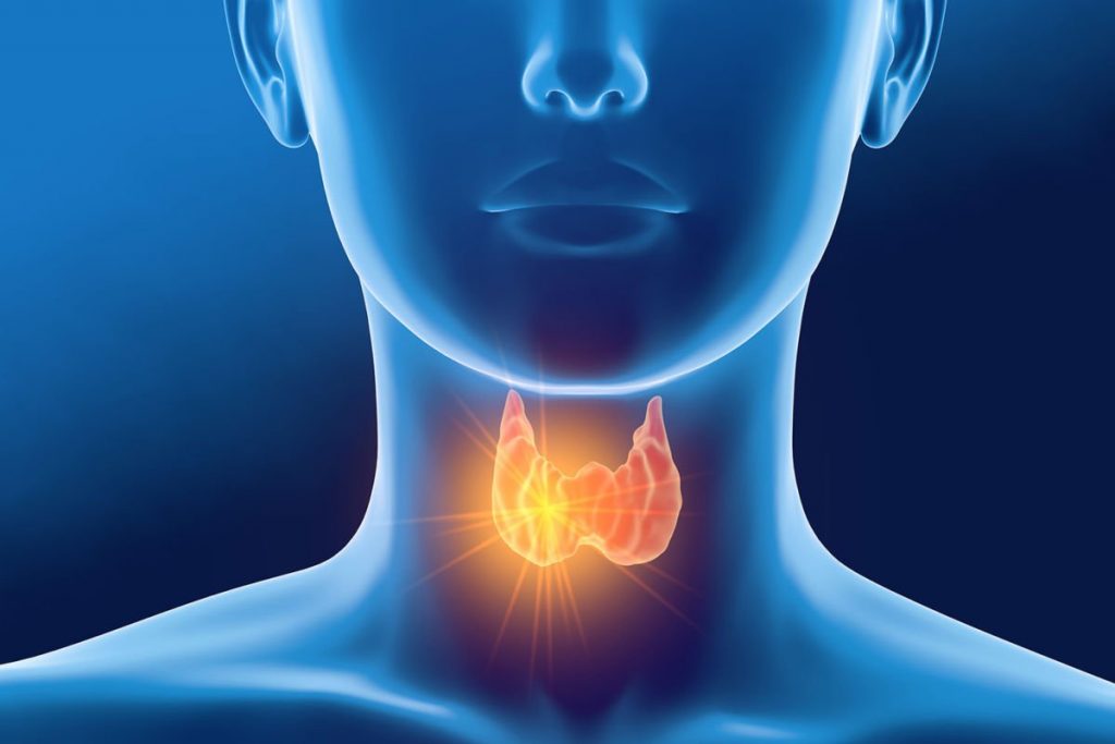 4 простых способа проверить щитовидную железу 