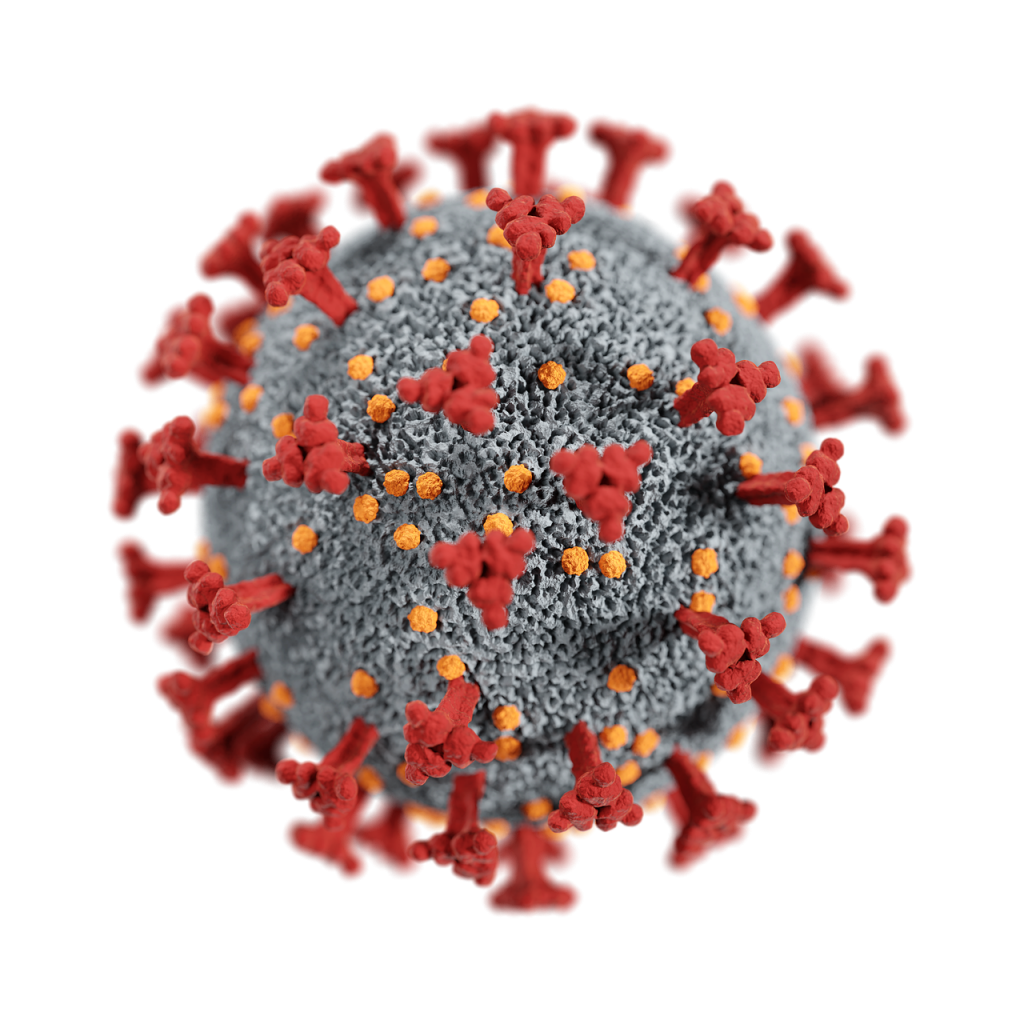 SARS-cov-2 Дельта штамм. Короновирусная инфекция штаммы. Штамма коронавируса Дельта плюс. Covid штаммы. 2 штамм коронавируса