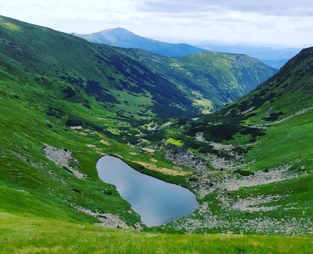 Тури в Закарпаття