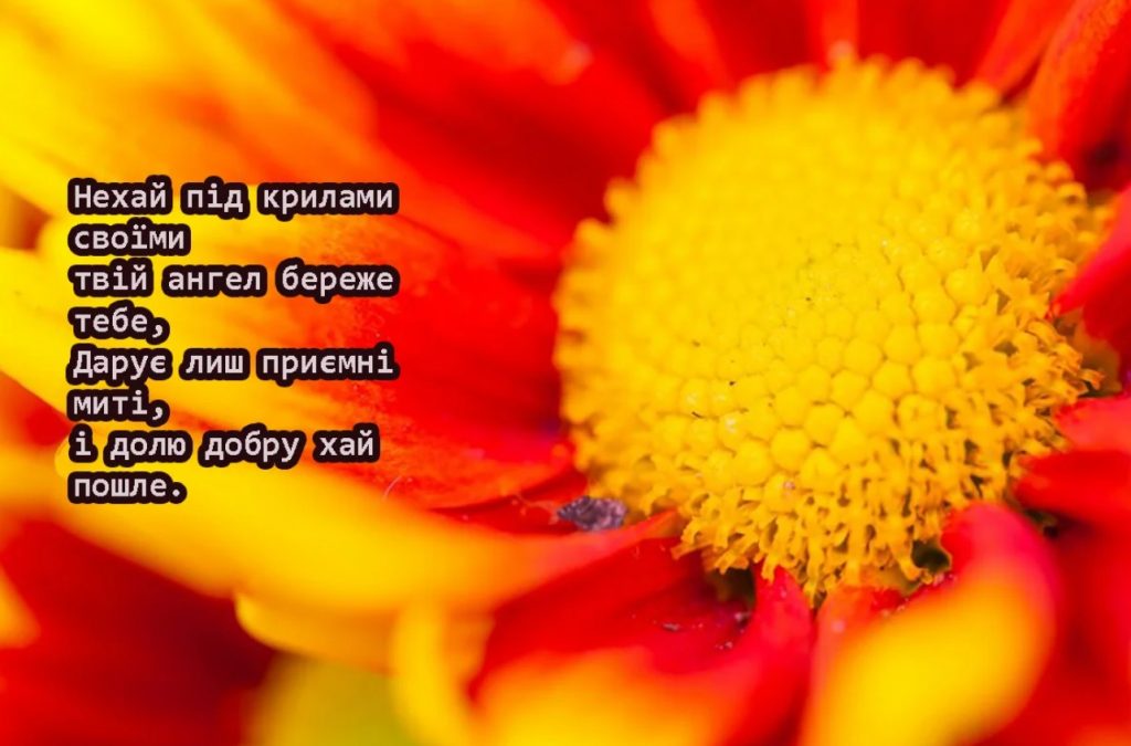 З іменинами Аріадни