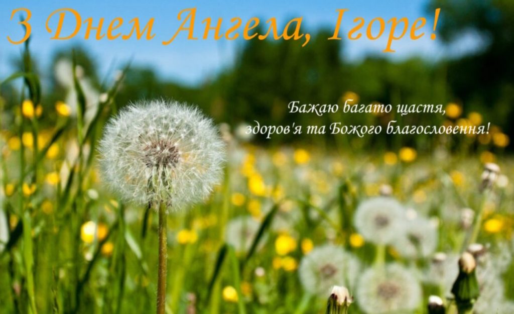 З іменинами Ігора