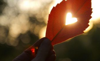 29 вересня свято