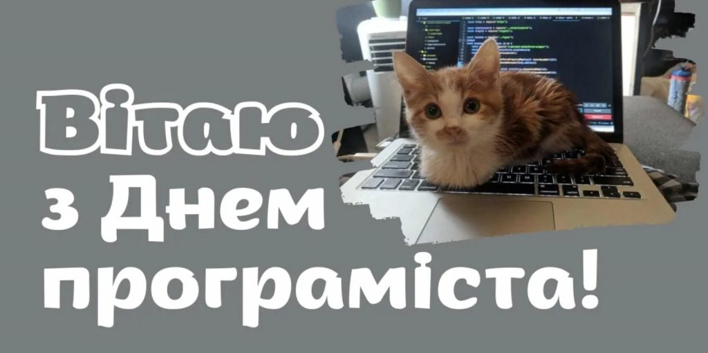 Листівки з днем програміста