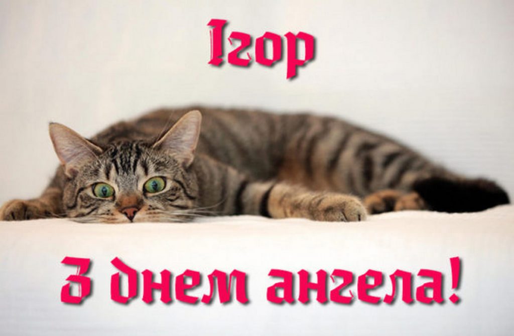Іменини Ігора
