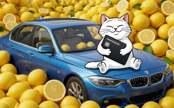 Де знайти 51 лимон у Monobank