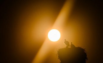 Магнітні бурі з 24 по 30 листопада 2025