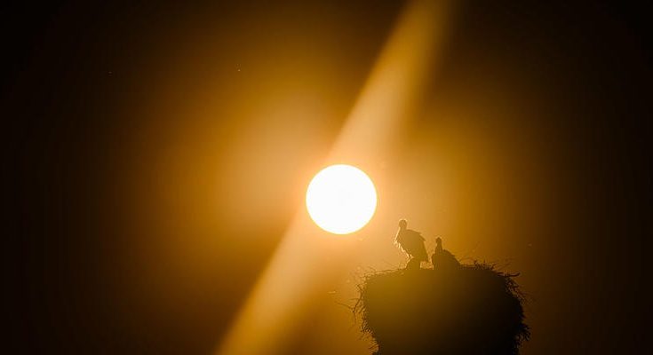 Магнітні бурі з 24 по 30 листопада 2025