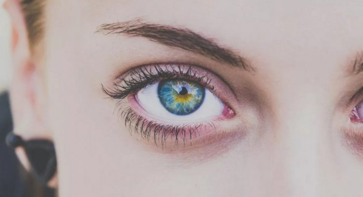 Чому осипається туш взимку