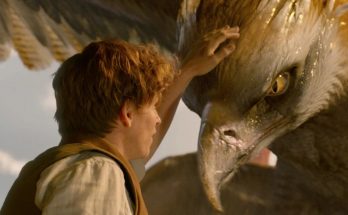 Чому зникла франшиза «Фантастичні звірі»