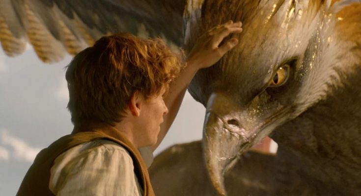 Чому зникла франшиза «Фантастичні звірі»